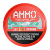 Mint AMMO Pouches